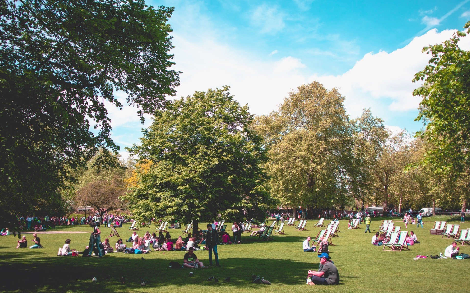 Public Viewing in Park mit Liegestühlen an einem Sommertag - Angsa-Robotics bietet die Lösung gegen kleinteiligen Müll